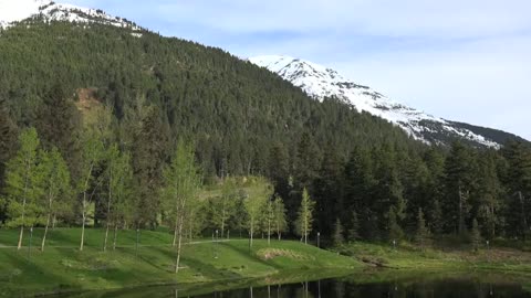 Alaska Alyeska Pond And Forested Mountain Zoom