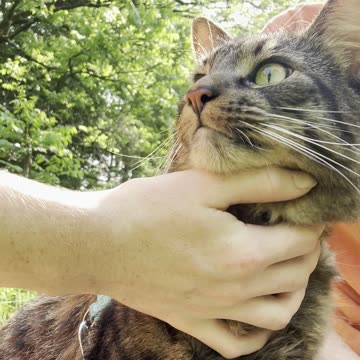 Noodle is so cute! ❤️