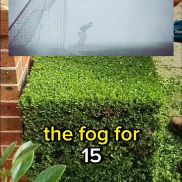 Your brain dnt knwo about this