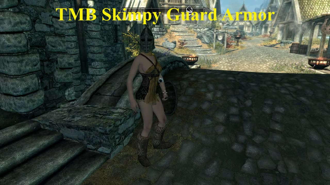 TMB Guard Armor