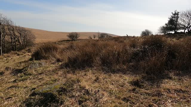 .need to find a place to dig a poo hole/cat hole. To leave no trace. Dartmoor wildcamping