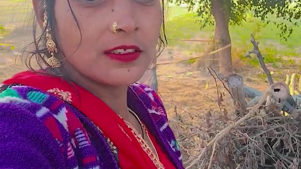 Kuchh Din Aur sambhal ke Rakha Dil Ke