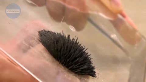Micro Burbujas