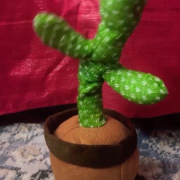 Talking cults اغنيه استاكوزا لأحمد زكى