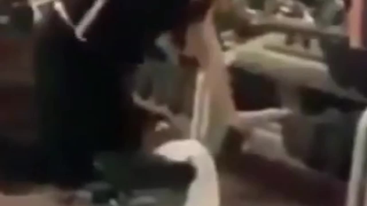 WHAT ARE THEY DOING