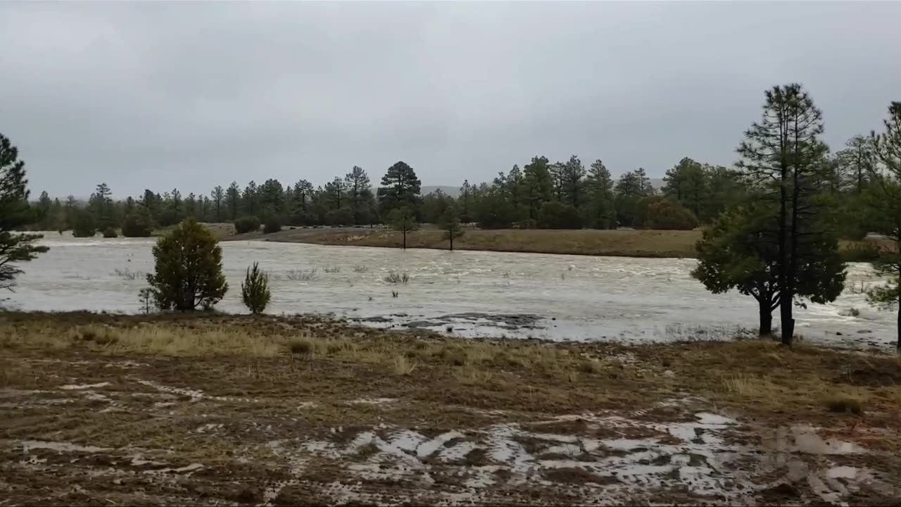 Show Low Lake AZ is Very full