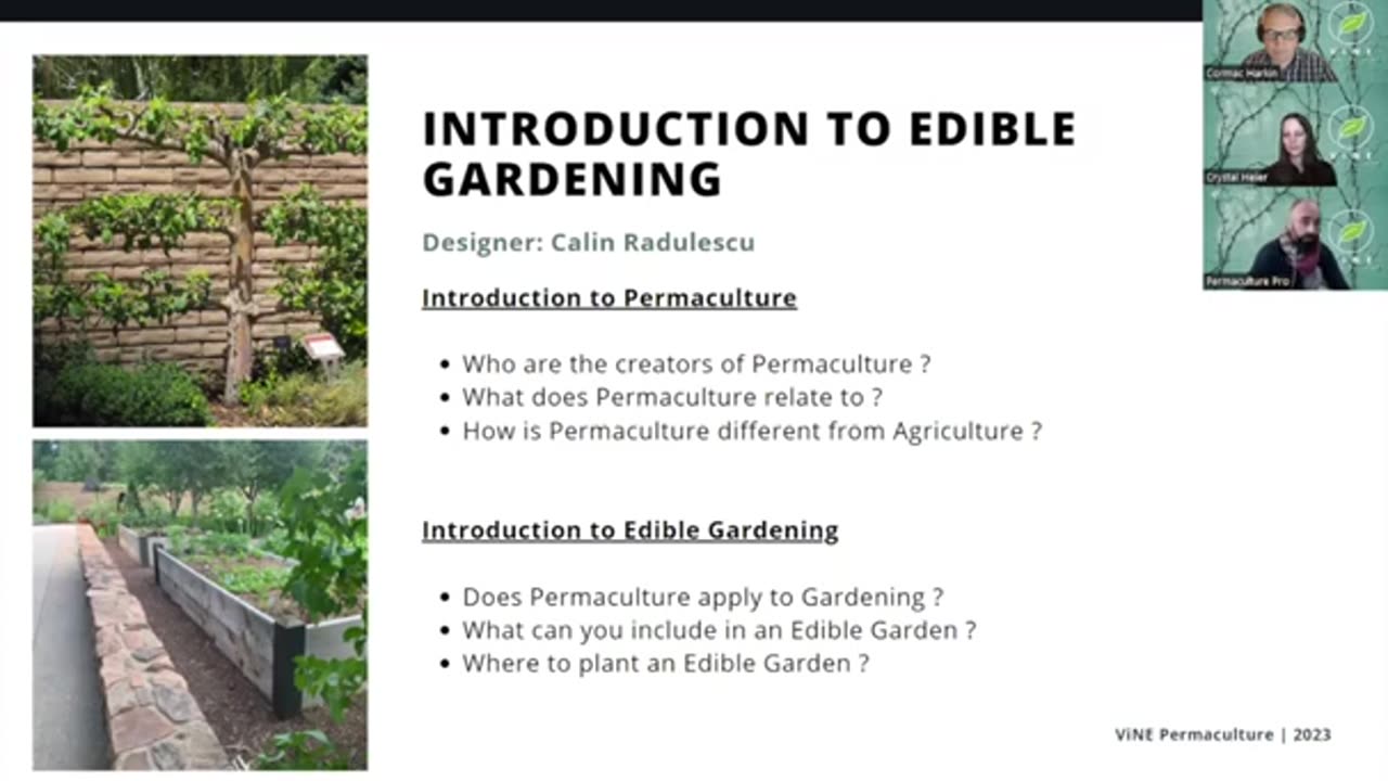 Introduction to Vine Permaculture