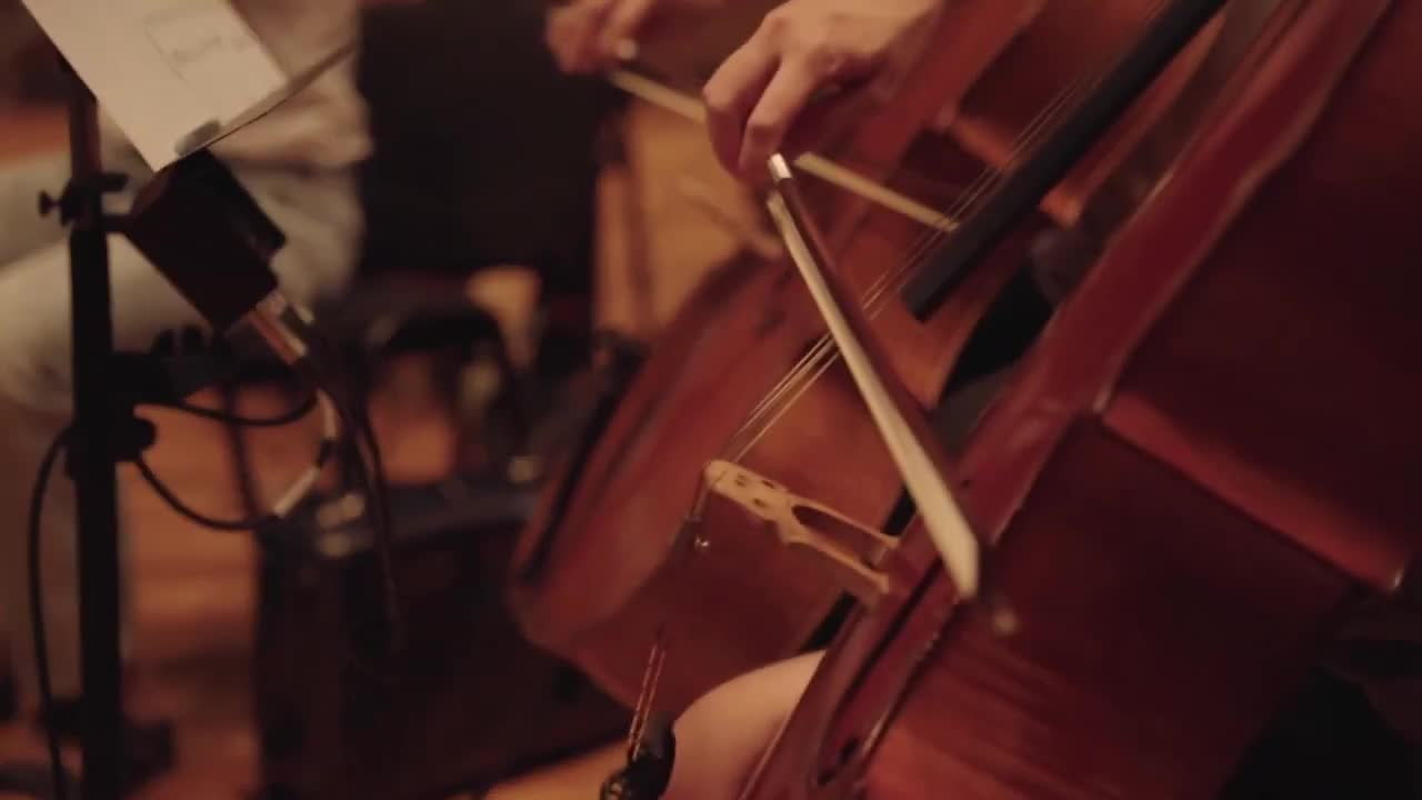BIRD 22 in Spatial Audio by Dolby Atmos - Artist Spotlight