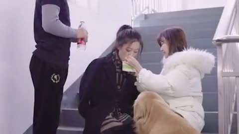What would you do when you see this (part 02)#fyp #dog #puppy #cute #clever