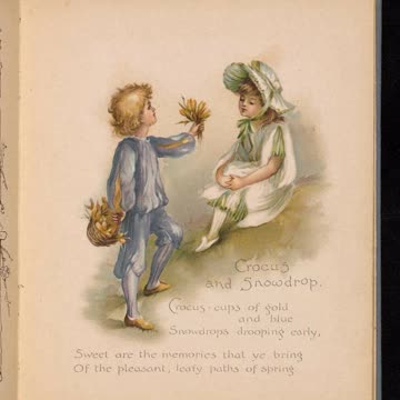 Update On The Herbal Bonus Videos 2