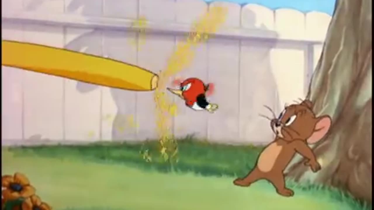 Tom and Jerry most funny cartoon