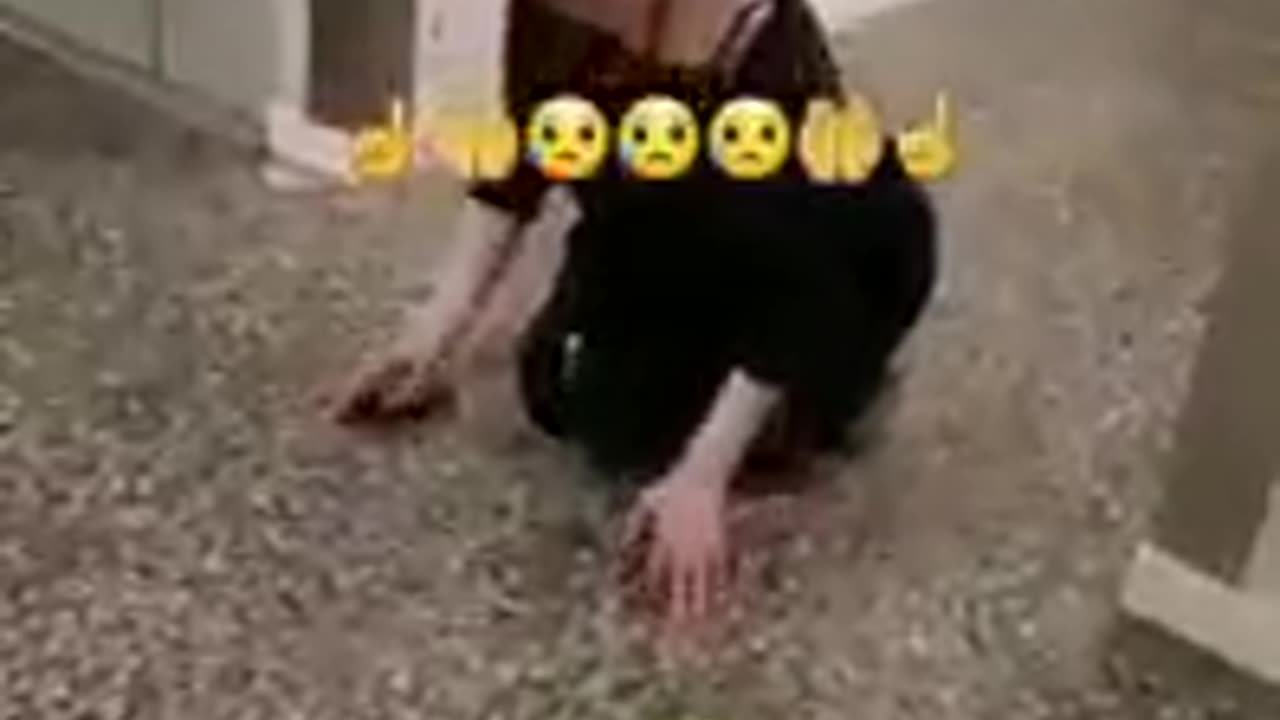 React of Swedish women white Tilawat of Houly Quran