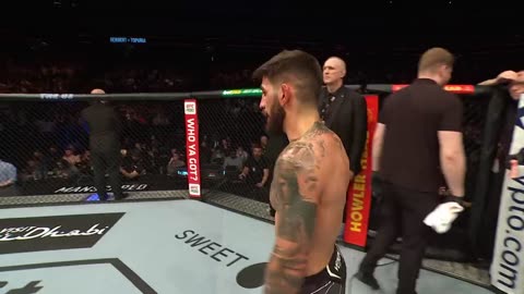 Top UFC Finishes of 2022