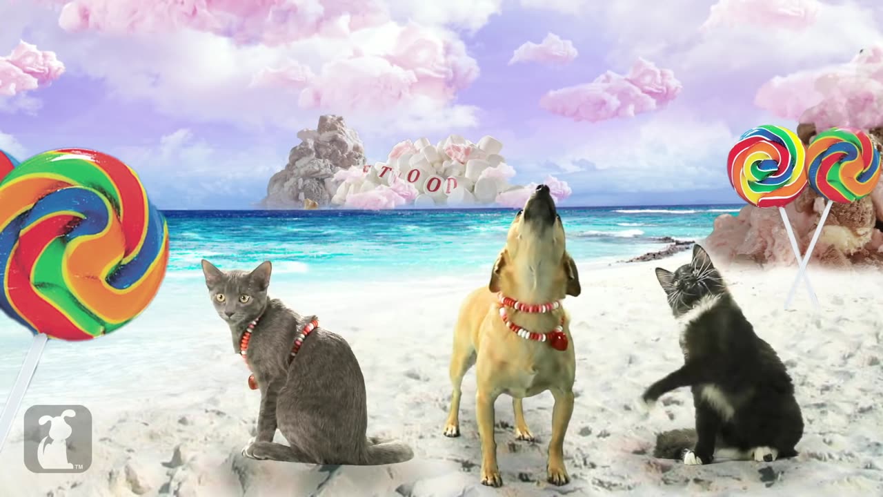 Katy Perry - California Gurls (ft Snoop Dog) - Katy Puppy - California Grrrs - Wide Awoof - Petody