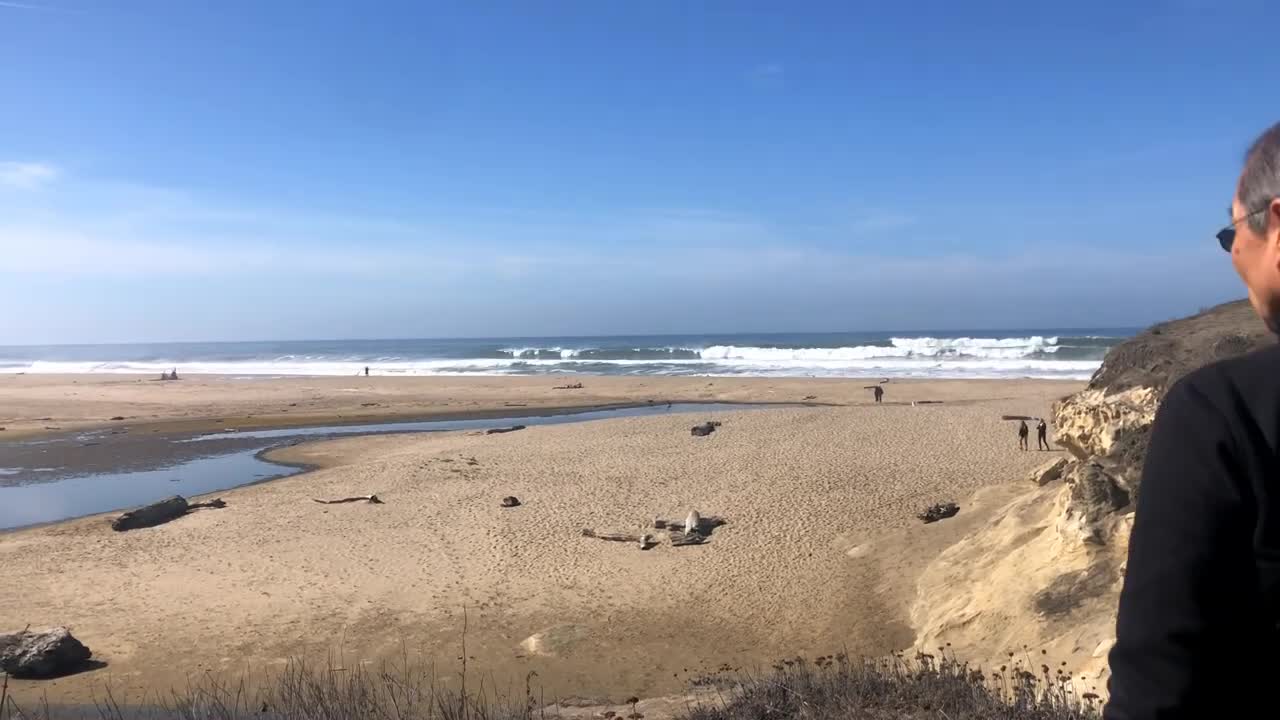 San Gregorio State Beach CA Selvaggia e Suggestiva