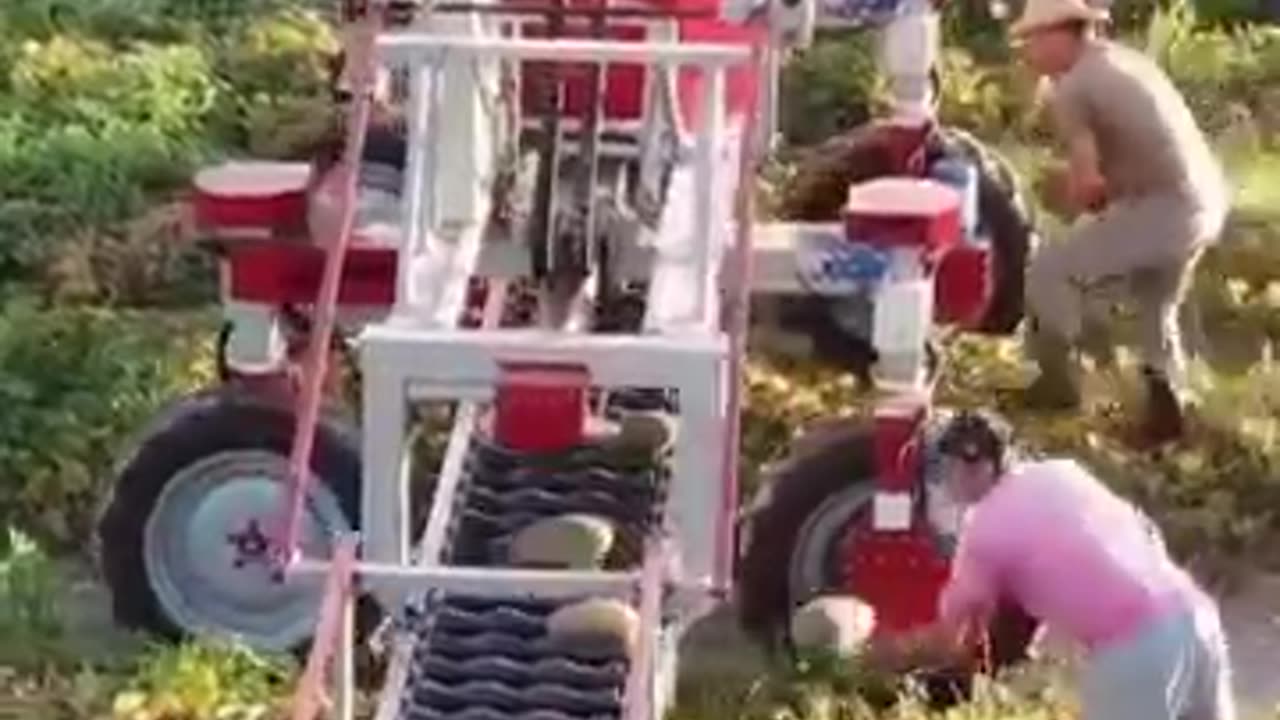 Folding Melon Harvester ##❗❗