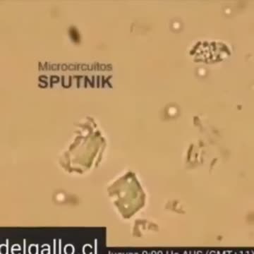 Graphene on Sputnik5 Vaxx - 7-24-22