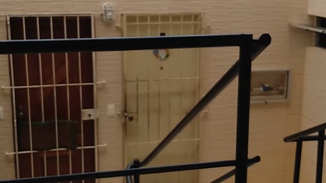 Apartamento Ignez Andreazza