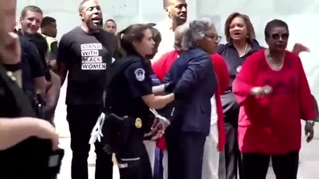 Capitol Police Arrested Nine People including Dem Congresswoman