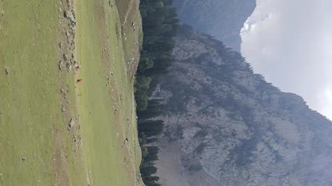 My little cxn tracking .. Kashmir view