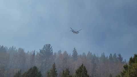 Chinook dropping the water on the Cameron Peak 2020