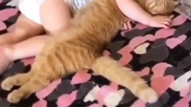 Baby & cat slip moment