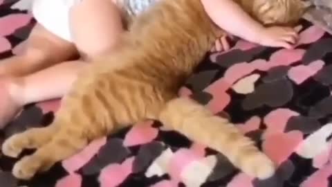 Baby & cat slip moment