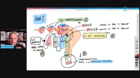 CYTOXICITY THE SPIKED PROTEINS CAUSE CLOTTING