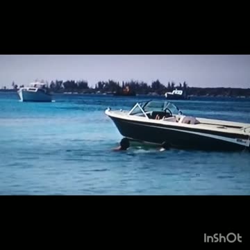 Boa tarde Meus Girassóis amados..