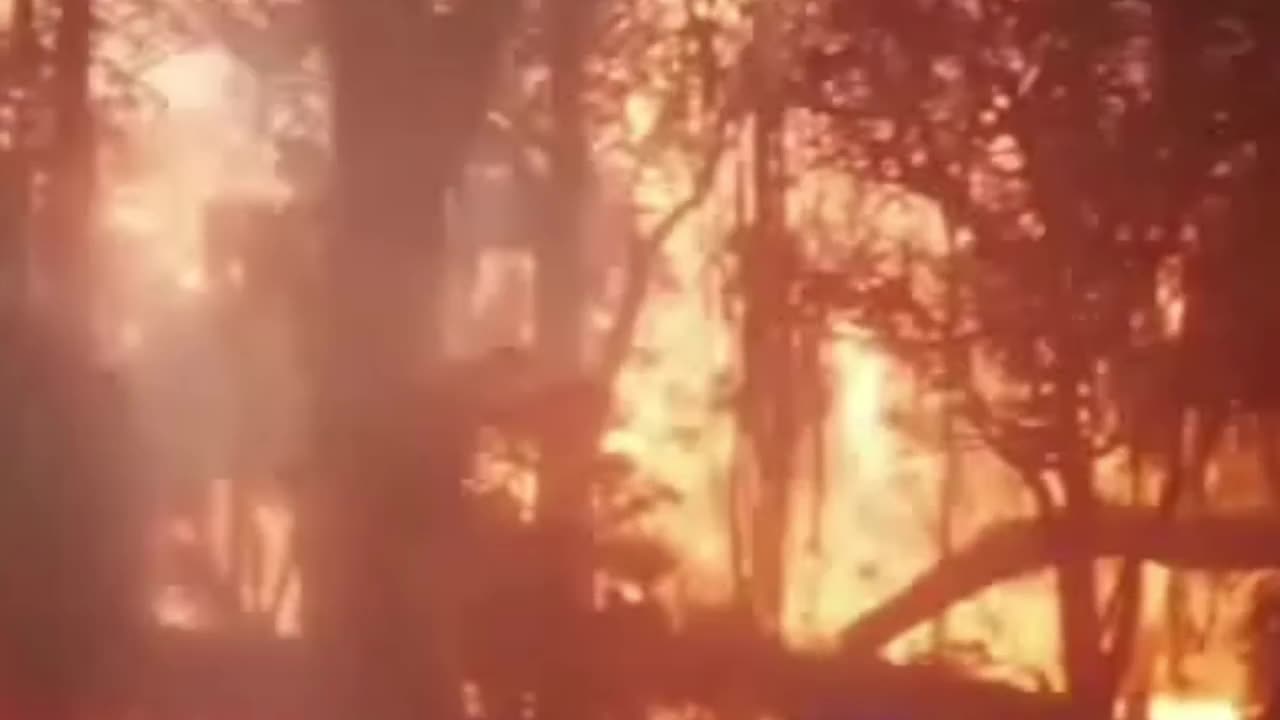 Avatar Hollywood action