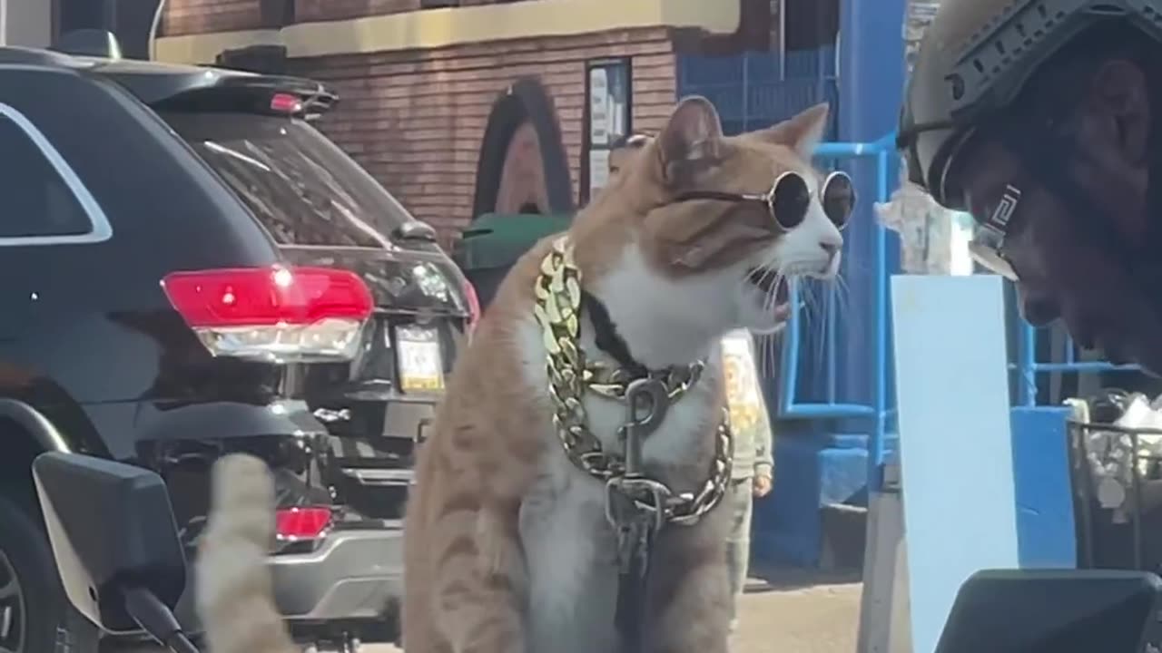 He is actually the owner of that human