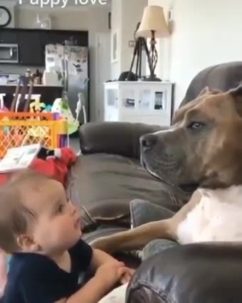 DOG AND CHILD