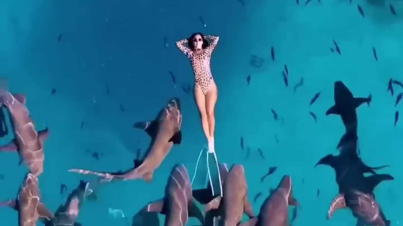 😲 WOW