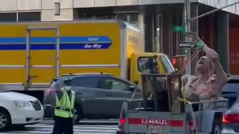 Don't be surprised to see anything in new york street.