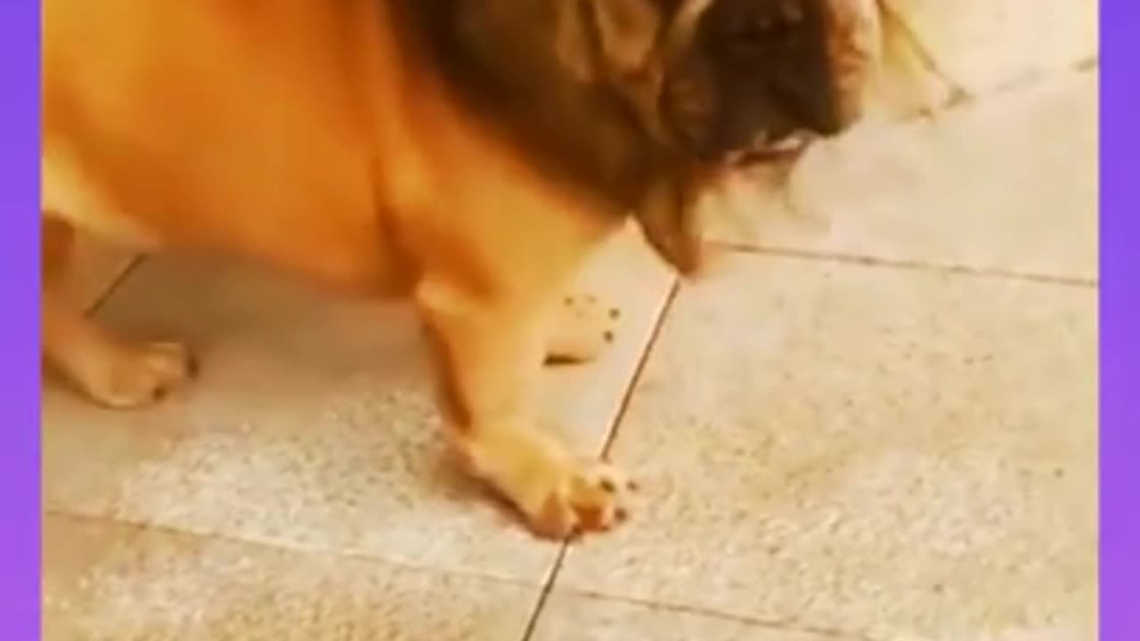 #short #funny