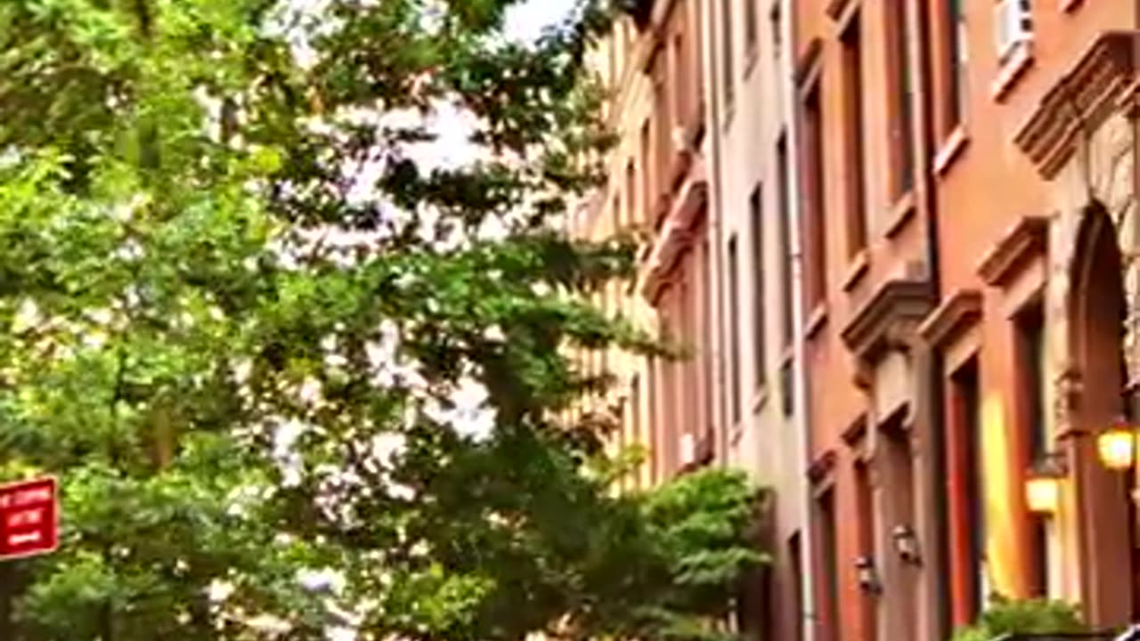 New york In 60 second