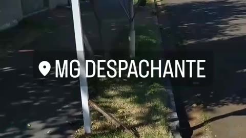 MG DOCUMENTALISTA Brasil
