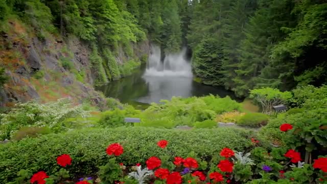 beautiful Garden stairs