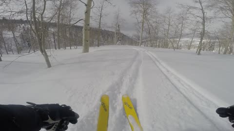 2/16/19 a great run down village epic powder day in the trees