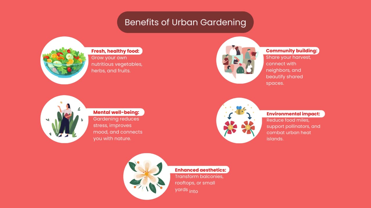 The Benefits of Urban Gardening - Urban Care