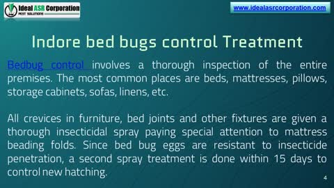 Bed Bugs Control Treatment Services in Indore - with Ideal ASR