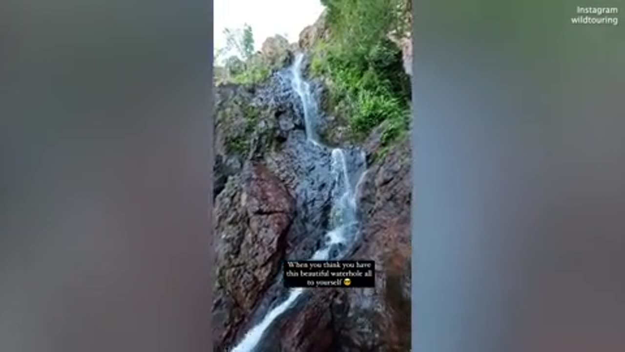 Family unknowingly swim in NT park closed over crocodile sighting