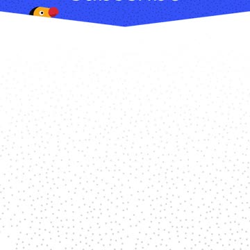 Dog on Highway Rescued by Taxi Drivers | The Dodo