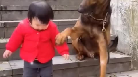 The Cutest Babysitter Ever! 🐶👶💞#cutebaby #dog