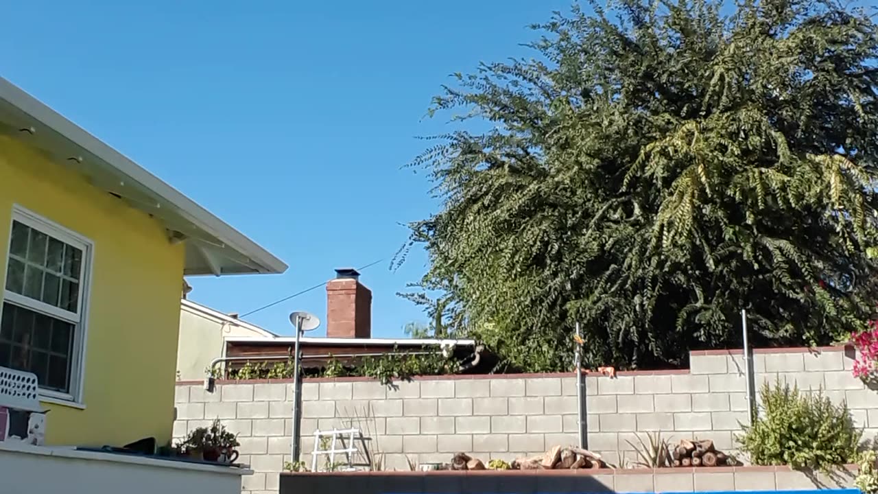 Kaiju and me....................IN THE POOL!!!Part 2