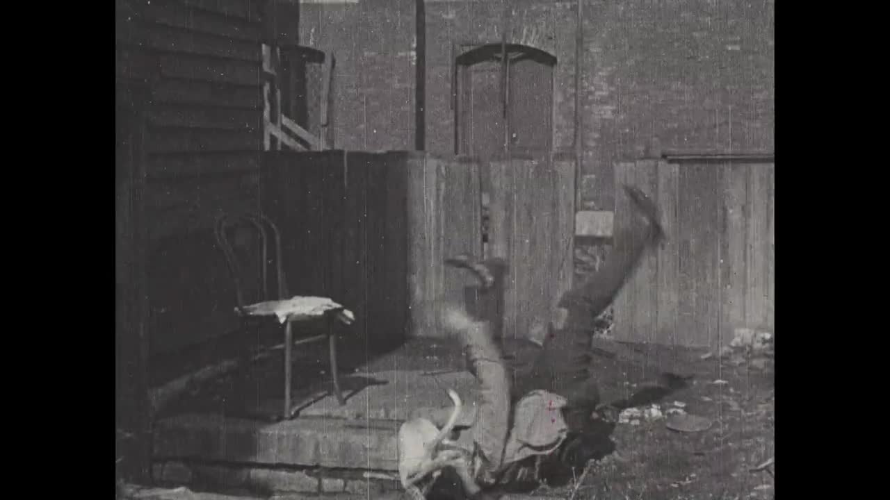 The Tramp and the Dog (1896)