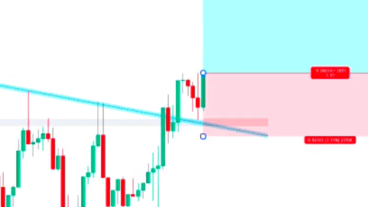 PROFIT SETUP for beginners