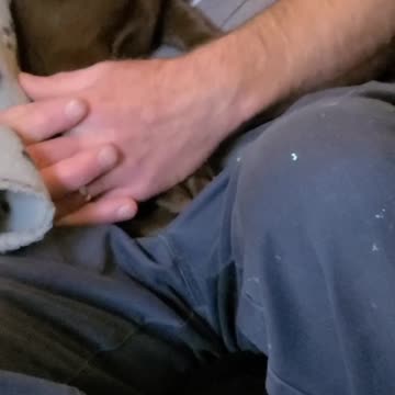 Budderz Undercover 🐶🕶