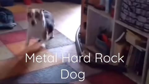 Musik ? Ja