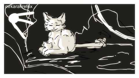 SNOWFUR - FORGET ME NOT (STORYBOARD)